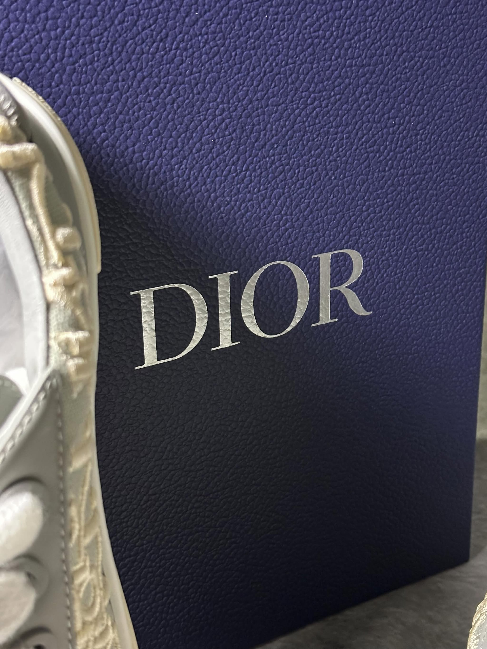 Dior B33